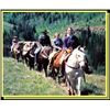 Image 2 : SUMMER HORSE PACK TRIP FOR TWO IN THE JARBIDGE WILDERNESS