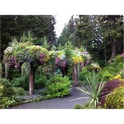 10 DAY SAFARI FOR TWO HUNTERS – LIMPOPO VALLEY, SOUTH AFRICA