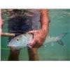 Image 7 : BONEFISHING FOR 2 IN THE BAHAMAS SOUTH ANDROS ISLAND 4-Nights & 3-Days Fishing