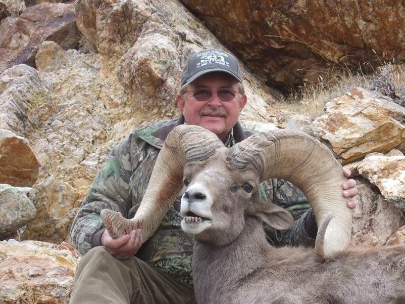 WILDLIFE HERITAGE TAG DESERT BIGHORN SHEEP