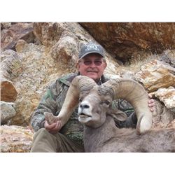 WILDLIFE HERITAGE TAG – DESERT BIGHORN SHEEP
