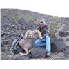 Image 9 : WILDLIFE HERITAGE TAG – DESERT BIGHORN SHEEP