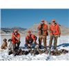 Image 6 : 2 DAY / 3 NIGHT UTAH WINGSHOOTING HUNT FOR ONE