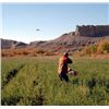 Image 7 : 2 DAY / 3 NIGHT UTAH WINGSHOOTING HUNT FOR ONE
