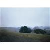 Image 1 : GERHARD RICHTER (b. 1932) TROISDORF (572-2) signed, titled and dated "572-2 Troisdorf Gerhard Ric...
