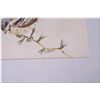 Image 3 : A selection of art work including two originals, a still-life and a bird, an unframed Cecile Youngfo