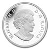 Image 1 : 2013 Silver Canadian $20 Coin - Untamed Canada - Arctic