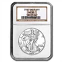 2002 Silver American Eagle (NGC MS-69)