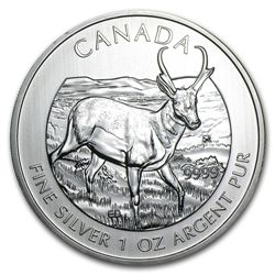 2013 1 oz Silver Canadian Wildlife Series - Pronghorn A