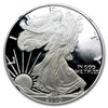 Image 1 : 2005-W Proof Silver American Eagle PF-69 NGC (Retro Bla