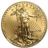 Image 1 : 2009 1 oz Gold American Eagle MS-70 NGC (Early Releases