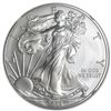 Image 1 : 2013 (S) Silver American Eagle - MS-70 NGC - ER - Troll