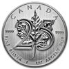 Image 1 : 2013 1 oz Silver Canadian Maple Leaf - 25th Anniversary