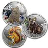 Image 1 : 2013 1/2 oz Proof Silver Forest Babies - 3 coin set