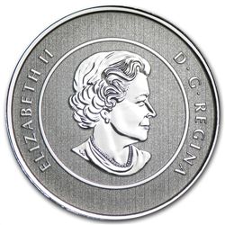 2013 1/4 oz Silver Canadian $20 Coin &amp; COA - Iceber