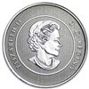 Image 1 : 2013 1/4 oz Silver Canadian $20 Coin &amp; COA - Iceber