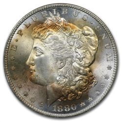 1878-1904 Morgan Dollars - MS-66 PCGS - Beautifully Ton