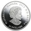Image 1 : 2013 1 oz Silver Canadian $20 Maple Leaf Impression - R