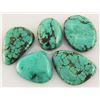 Image 1 : Natural Turquoise 120.35ctw Loose Small Gemstone Lot of