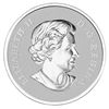 Image 1 : 2012 1/2 oz Silver Canadian $10 Maple Leaf Forever (W/
