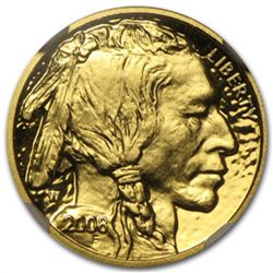 2008-W 1/10 oz Gold Buffalo PF-69 NGC (Early Releases)