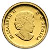 Image 1 : 2013 1/10 oz Gold Canadian $5 - The Beaver
