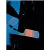 Image 1 : ANDY WARHOL (1928-1987) SHADOW stamped with Estate and Foundation seals on the overlap synthetic ...
