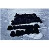 Image 1 : SHIRIN NESHAT (b. 1957) UNTITLED (RAPTURE SERIES) signed, titled, numbered from five and dated "S...