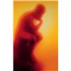 Image 1 : ANDRES SERRANO (b. 1950) PISS THINKER (IMMERSIONS SERIES) cibachrome, Silicone, Plexiglas in arti...