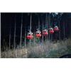 Image 1 : PETER DOIG (b. 1959) PHOTOGRAPHS 1-9 each signed, titled, numbered and dated "Peter Doig 2,000 Ph...