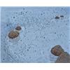 Image 1 : MICHAEL RAEDECKER (b. 1963) THE SURFACE signed and dated "Raedecker 2000" on the overlap oil, acr...