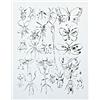 Image 1 : ANDY WARHOL (1928-1987) BUTTERFLIES AND INSECTS stamped with Estate and Foundation seals on the r...
