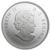 Image 1 : 2013 1/2 oz Silver Canadian $10 Maple Leaf Painted (W/B