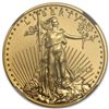 Image 1 : 2013 1/4 oz Gold American Eagle MS-69 NGC Mint Error