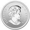 Image 1 : 2013 1/2 oz Silver Canadian $10 - Year of the Snake (St
