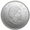 Image 1 : 2013 1/2 oz Silver Canadian $10 The Wolf (W/Box &amp; C
