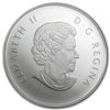 Image 1 : 2013 1/2 oz Silver Canadian $10 Niagara Falls (W/Box &a