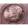 Image 1 : 1883-O Morgan Dollar Ch MS64 PCGS