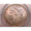 Image 1 : 1883-O Morgan Dollar Ch MS64 PCGS