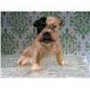 Image 8 : VINTAGE ROYAL DOULTON ENGLAND CERAMIC FIGURINE BULLDOG K2X