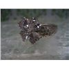 Image 2 : STERLING SILVER RING with CZ STONES
