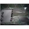 Image 3 : 1924-P SILVER PEACE DOLLAR 90% SILVER