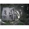 Image 6 : STERLING SILVER .925 & 14K GOLD RING TW. 7.8
