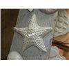 Image 1 : CONCRETE - STAR FISH