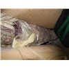 Image 1 : AREA CARPET - RUNNER