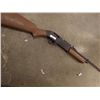 Image 1 : PUMP MASTER PELLET / BB RIFLE - PUMP ACTION