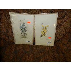 FRAMED PCITURES - FLOWERS - 2 TOTAL