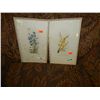 Image 1 : FRAMED PCITURES - FLOWERS - 2 TOTAL