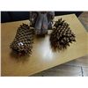 Image 1 : HUGE ACORN - 2 - OLD GROWTH RED CEDAR