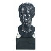 Image 1 : Vatican Authorized Bust of Emperor Julius Caesar Sculpted by Michelangelo